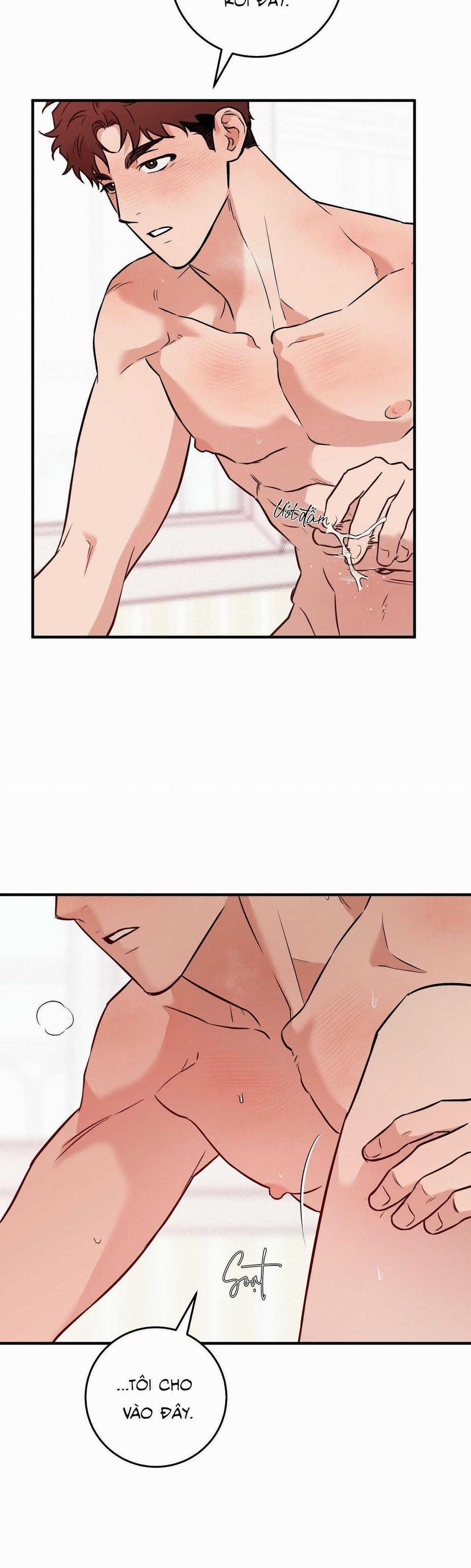 Năm Nay Sẽ Khác 20 trang 9