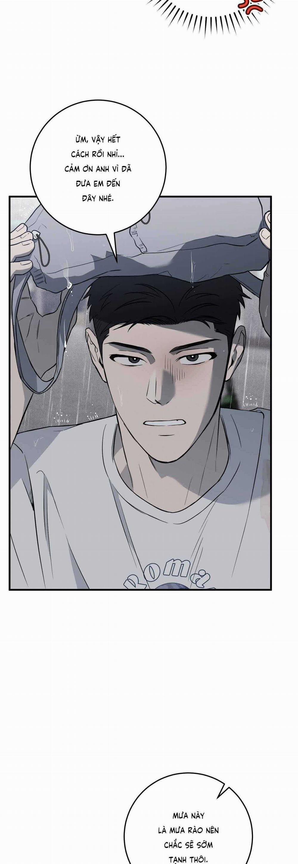 Năm Nay Sẽ Khác 4 trang 21