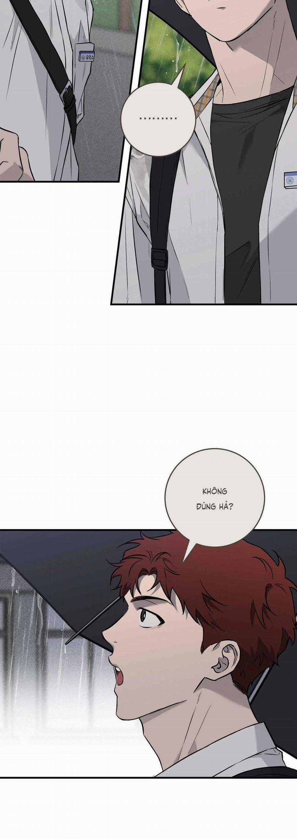 Năm Nay Sẽ Khác 4 trang 9