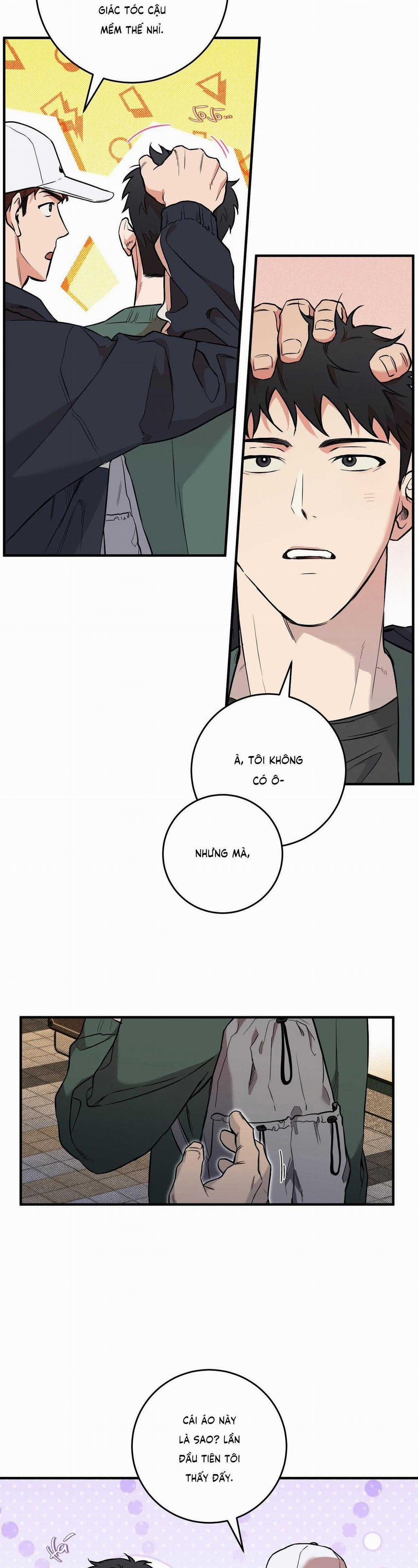 Năm Nay Sẽ Khác 5 trang 13