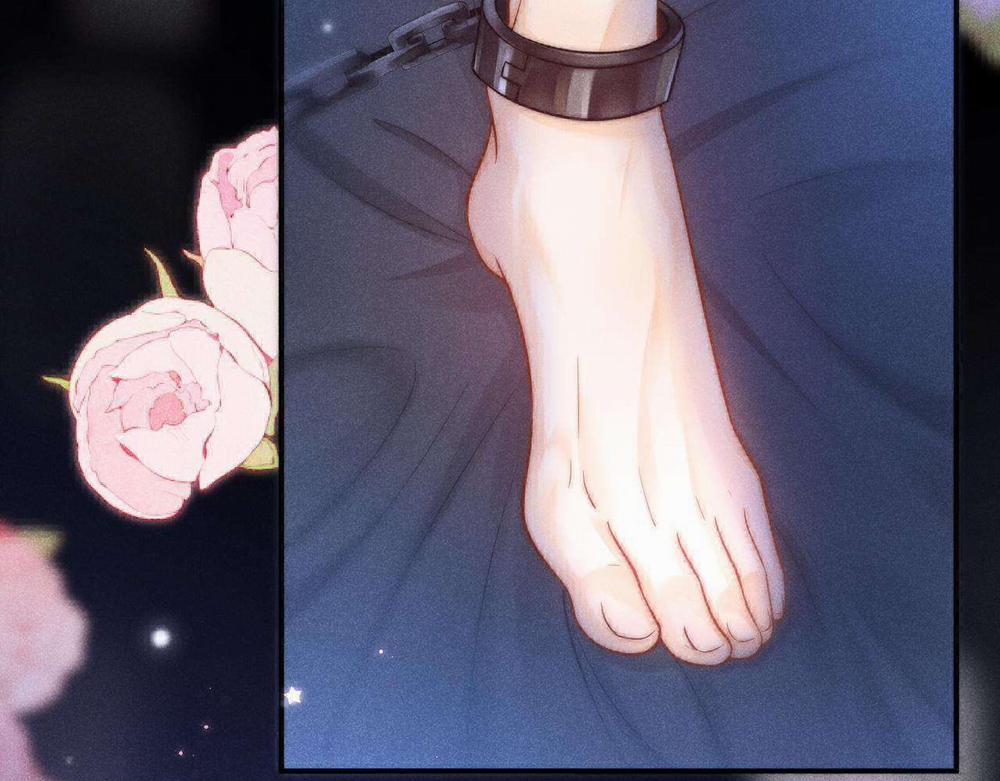 Nam Thần Bá Đạo Cầu Xin Tôi Quay Lại 47 trang 43