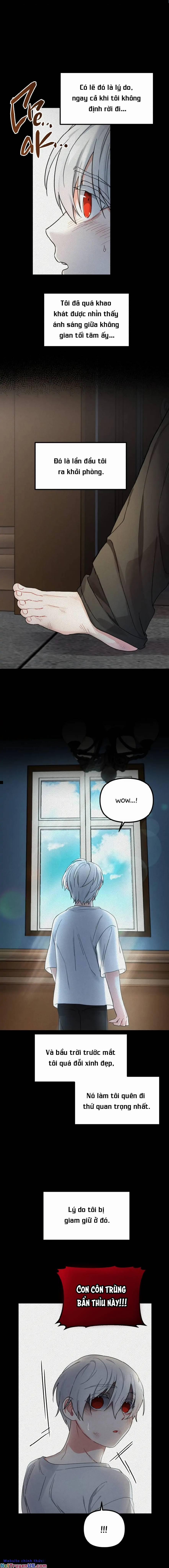 Nàng Bạch Tuyết 25.2 trang 5