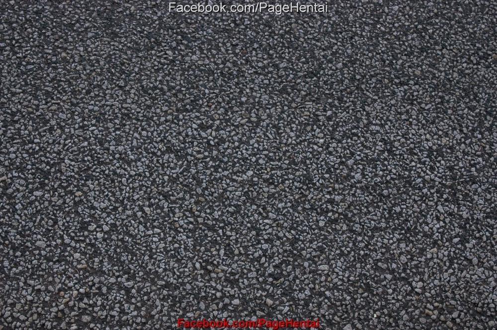 Nàng công chúa Ori Tập 3 trang 4