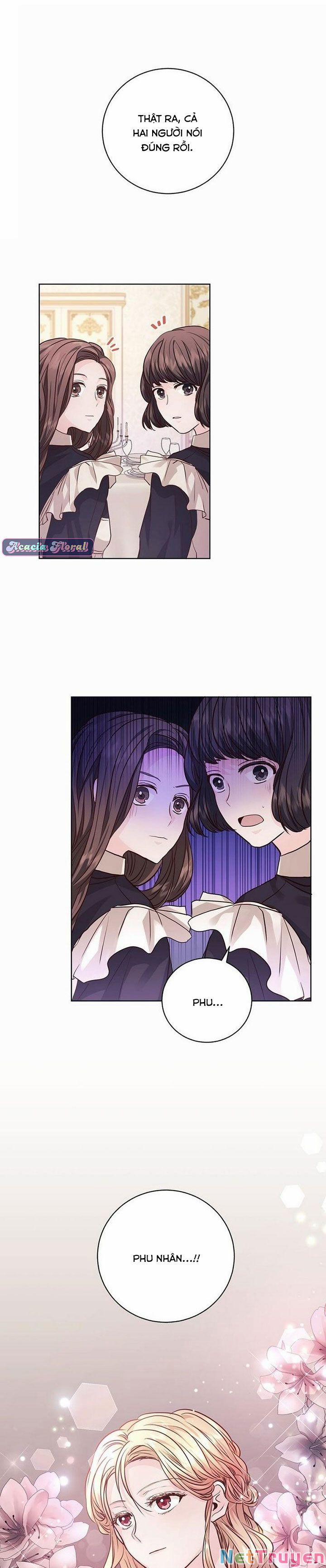 Nàng Dâu Bí Ẩn Của Bạch Sư Tử 4 trang 1