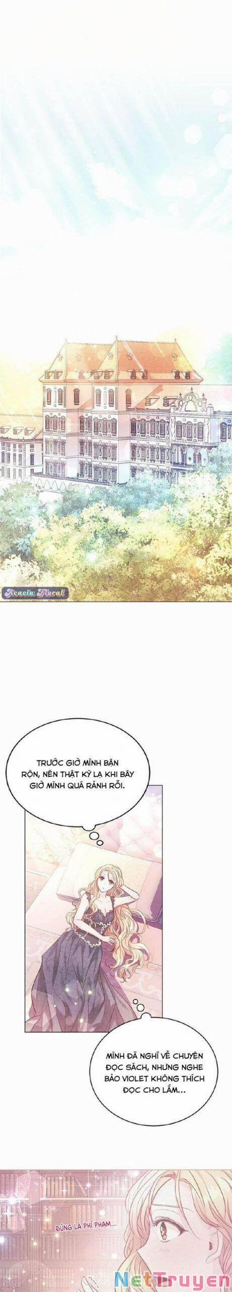 Nàng Dâu Bí Ẩn Của Bạch Sư Tử 5 trang 16