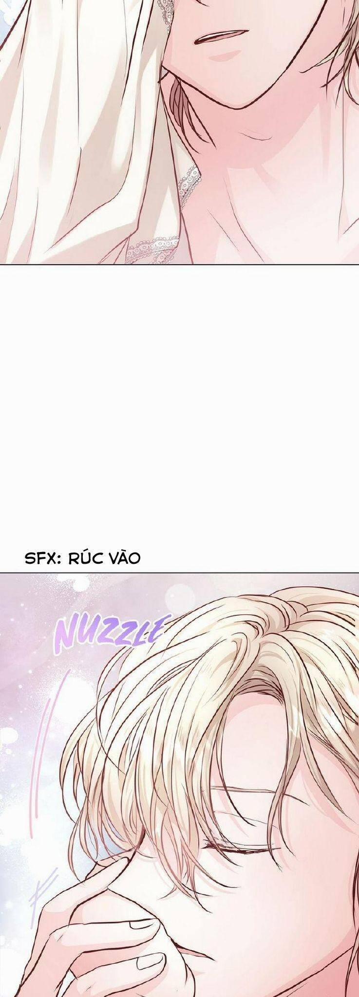 Nàng Dâu Bí Ẩn Của Bạch Sư Tử 6 trang 47
