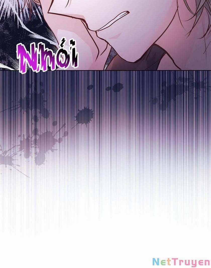 Nàng Dâu Bí Ẩn Của Bạch Sư Tử 7 trang 13