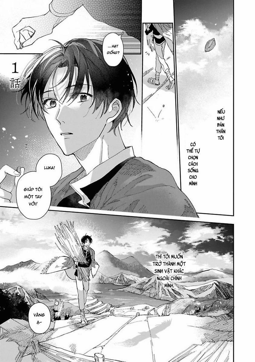 Nắng Dịu Mùa Đông Và Cô Dâu Nhỏ 1 trang 4