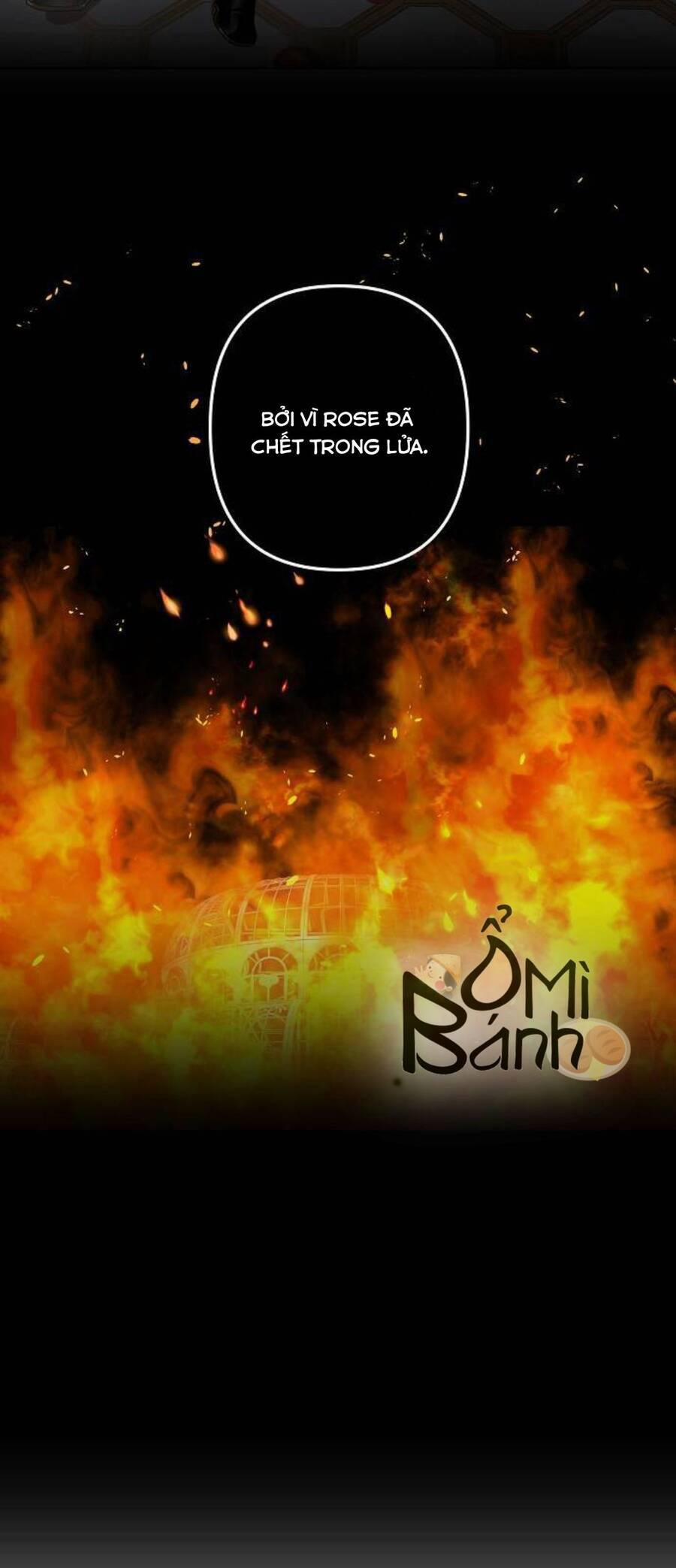 Nàng Hậu Của Tro Tàn 1 trang 51