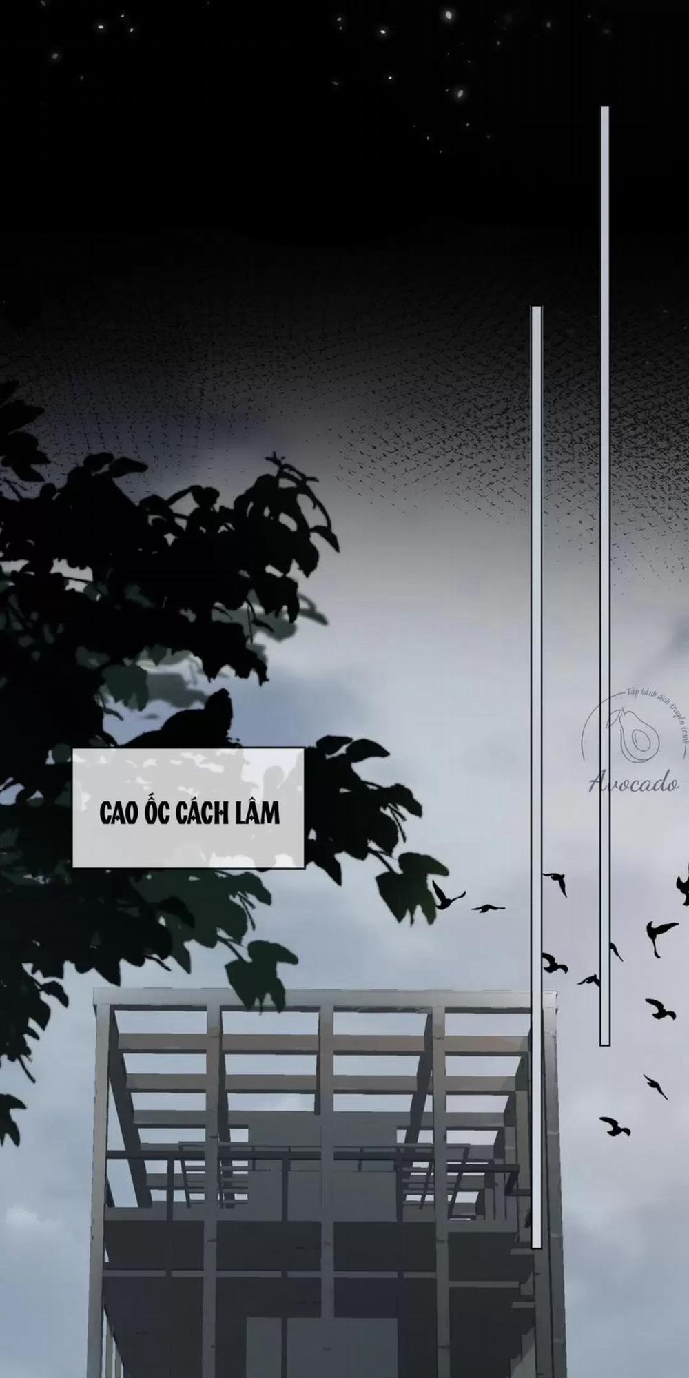 Nàng Pháp Y Thân Yêu Của Tôi 50 trang 6