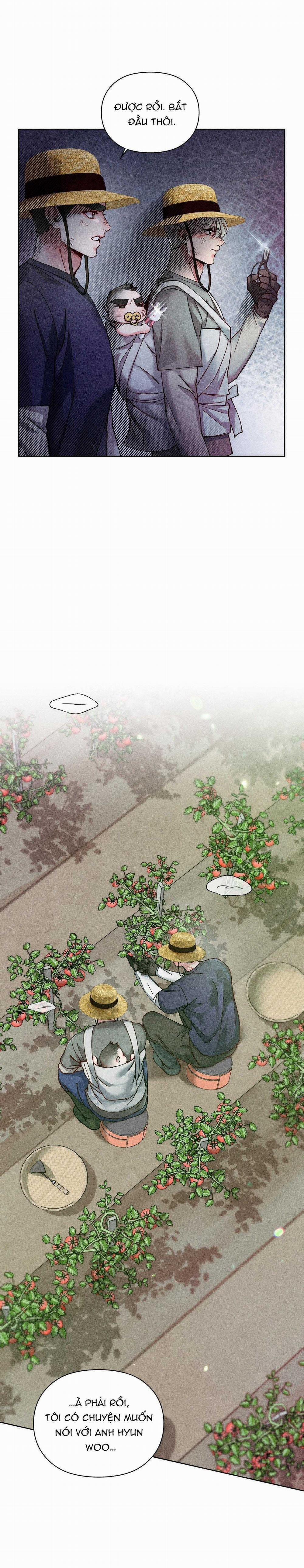 Nâng Tạ Thoát Ế 38 trang 10