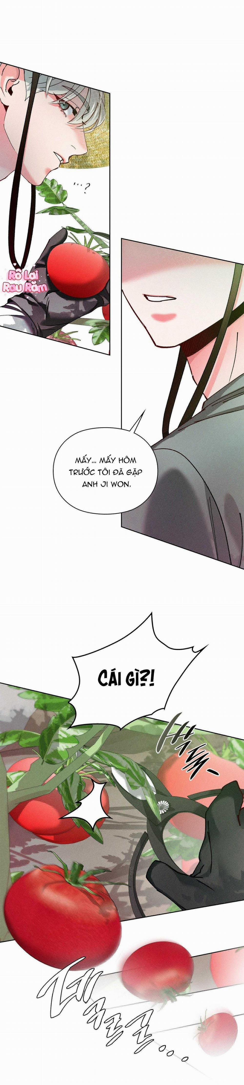 Nâng Tạ Thoát Ế 38 trang 11