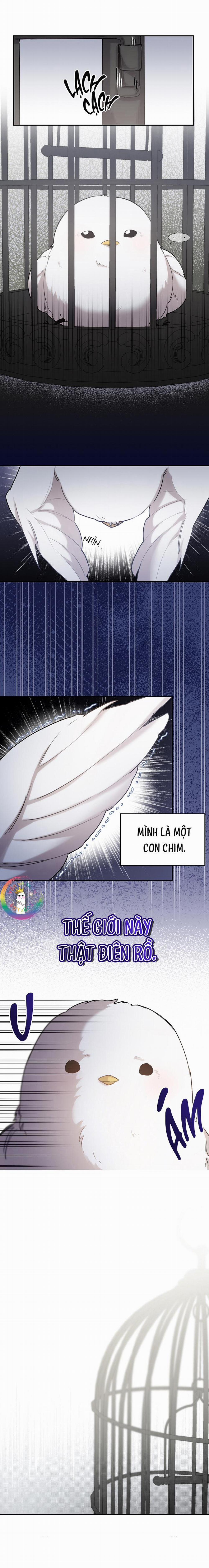 Này, Đừng Có Nhấn Cái Nút Đó! 1 trang 14