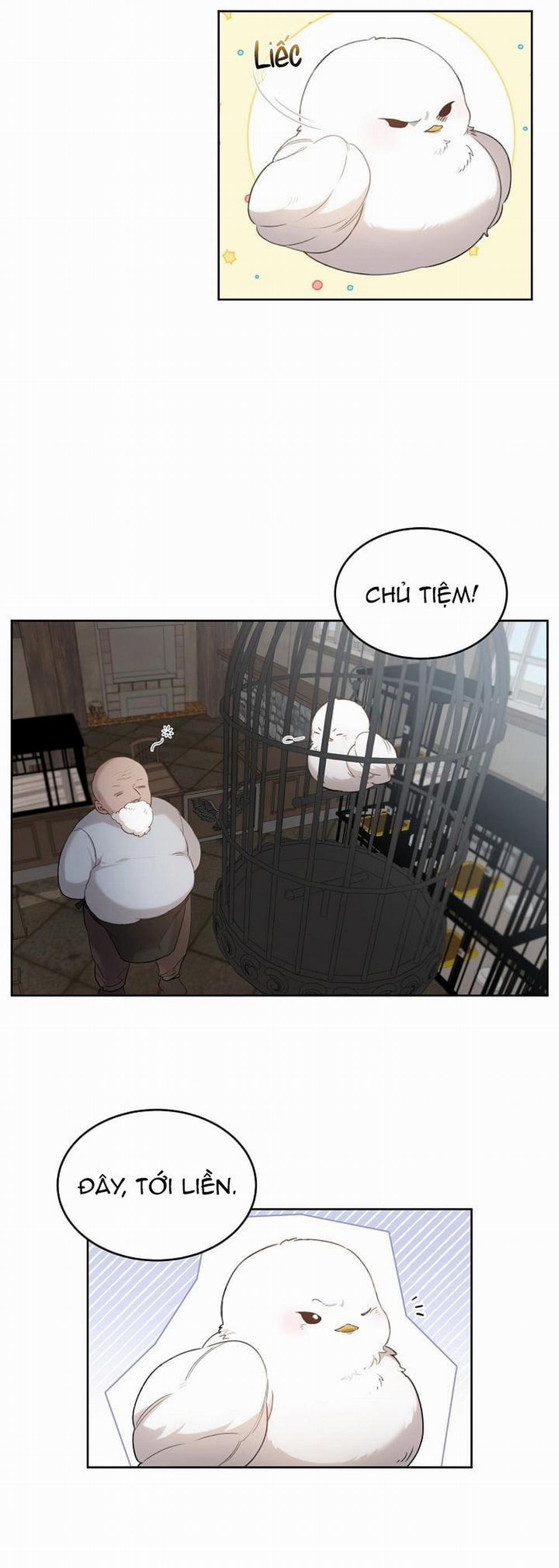 Này, Đừng Có Nhấn Cái Nút Đó! 2 trang 6