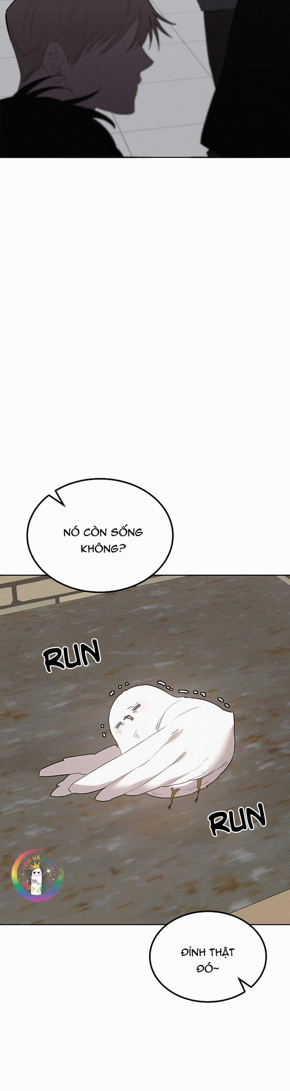 Này, Đừng Có Nhấn Cái Nút Đó! 27 trang 9