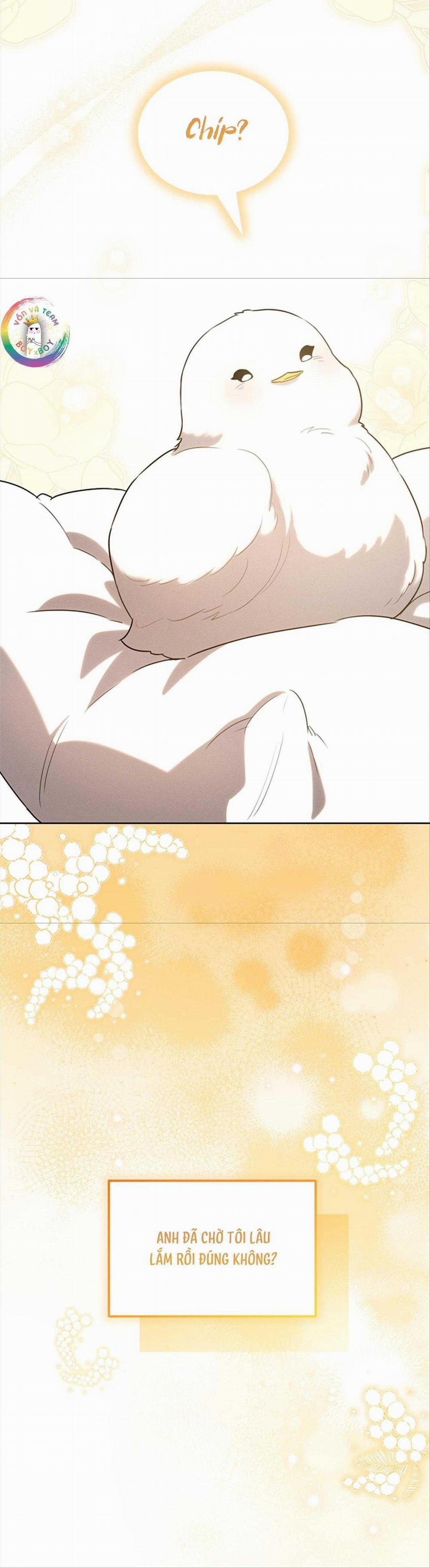 Này, Đừng Có Nhấn Cái Nút Đó! 32 trang 1