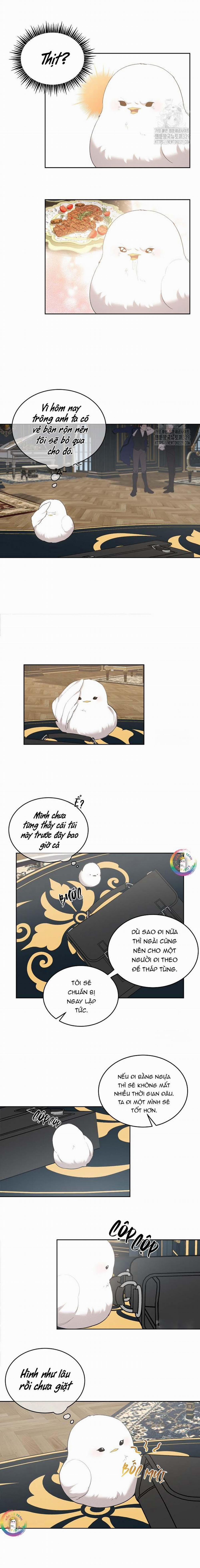 Này, Đừng Có Nhấn Cái Nút Đó! 8 trang 8