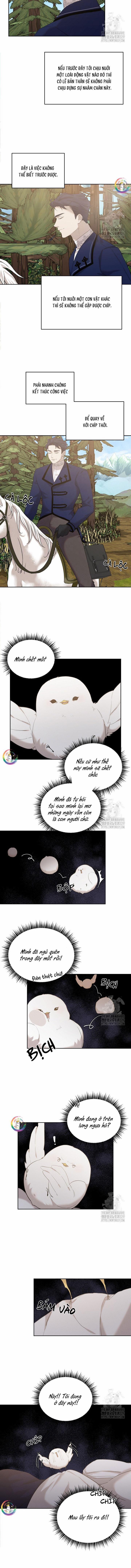 Này, Đừng Có Nhấn Cái Nút Đó! 9 trang 4