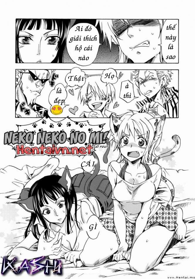Neko Neko No Mi (One Piece) Oneshot trang 0
