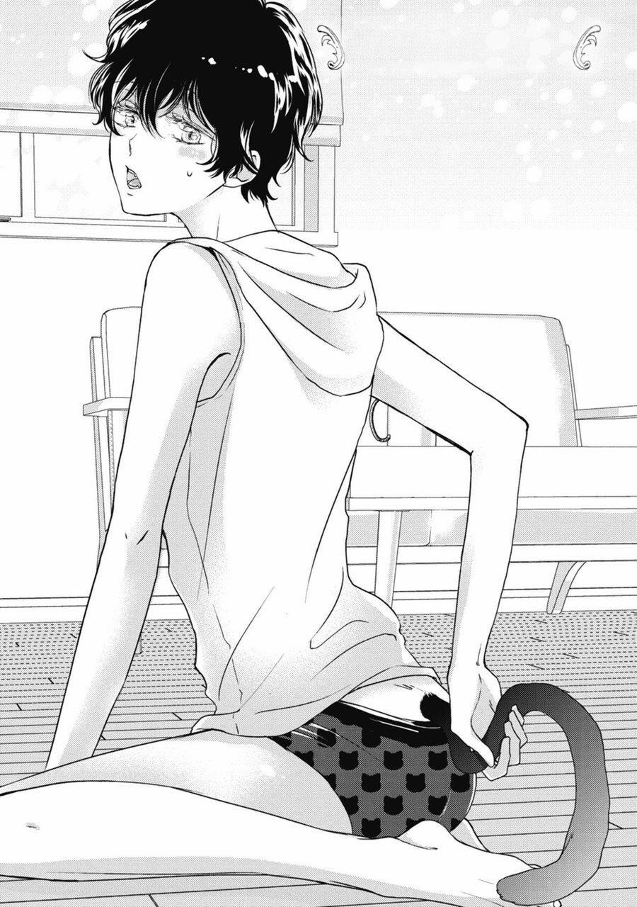 Neko To Spica 4 trang 0