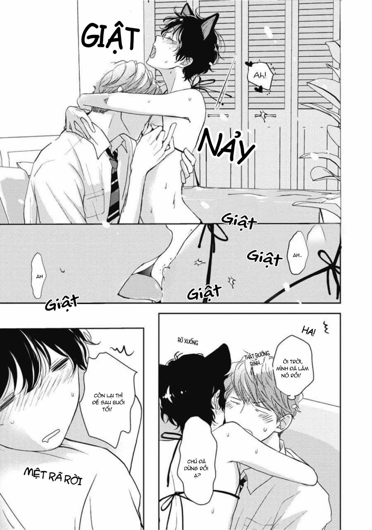 Neko To Spica 5 trang 6