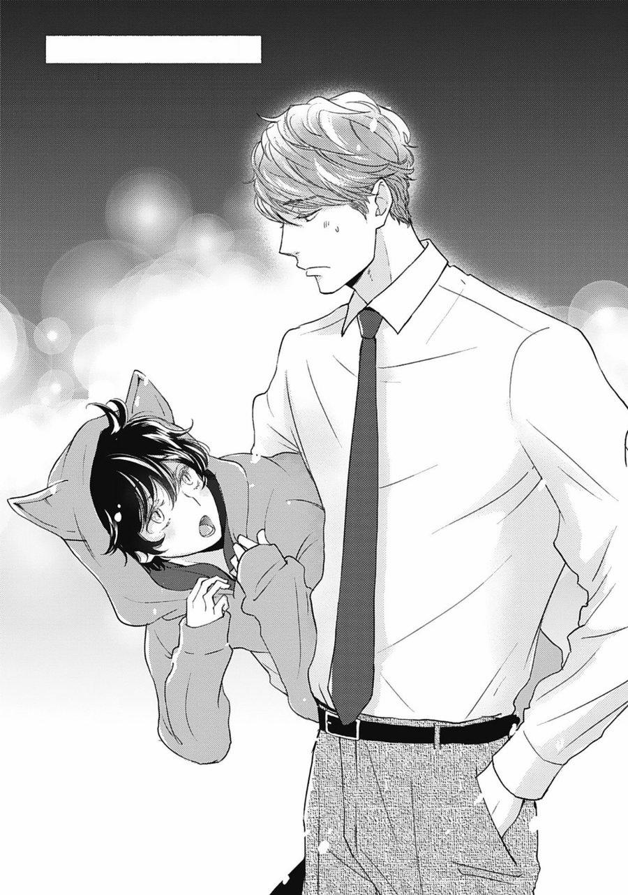 Neko To Spica 8 trang 0