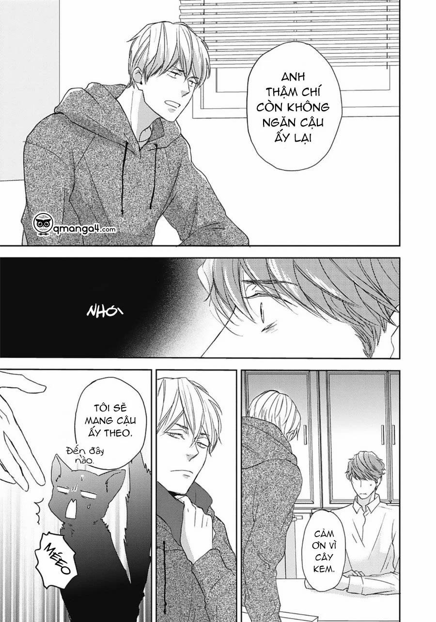 Neko To Spica 8 trang 4