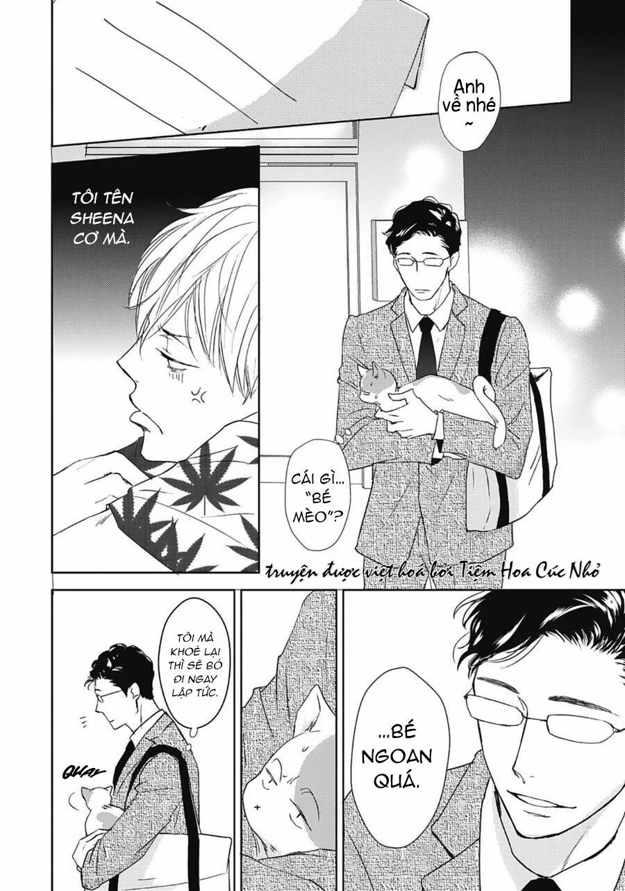 Neko To Spica 9 trang 11