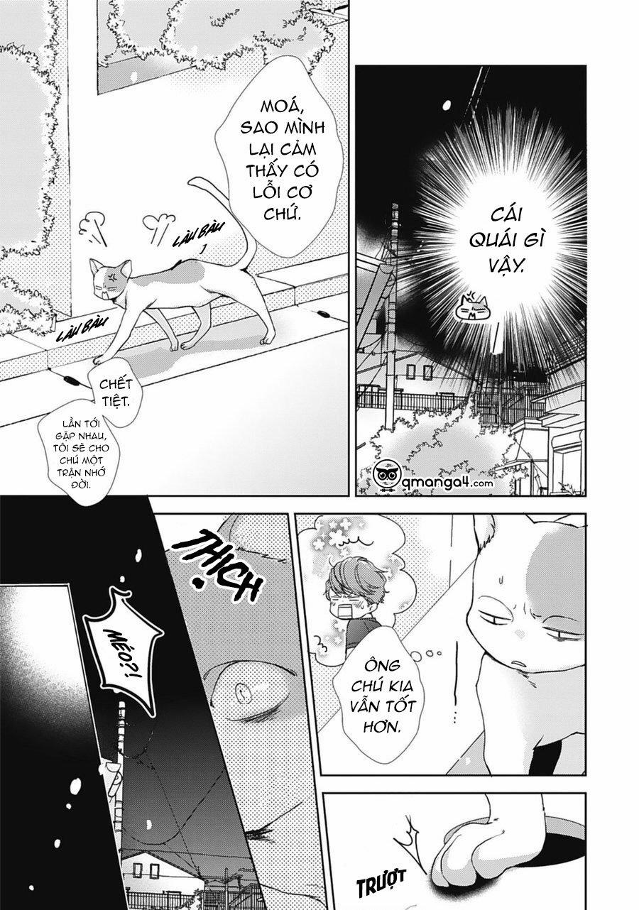 Neko To Spica 9 trang 6