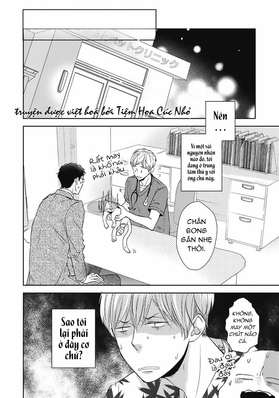 Neko To Spica 9 trang 7