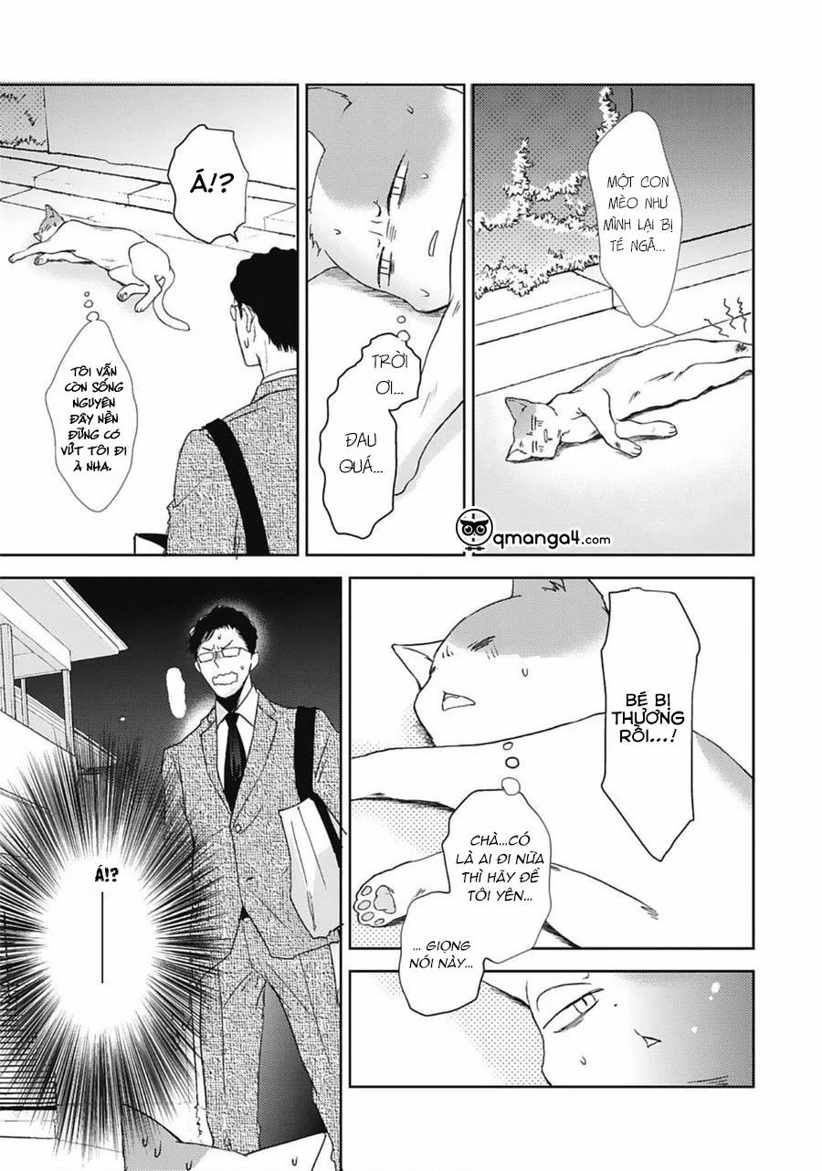 Neko To Spica 9 trang 8