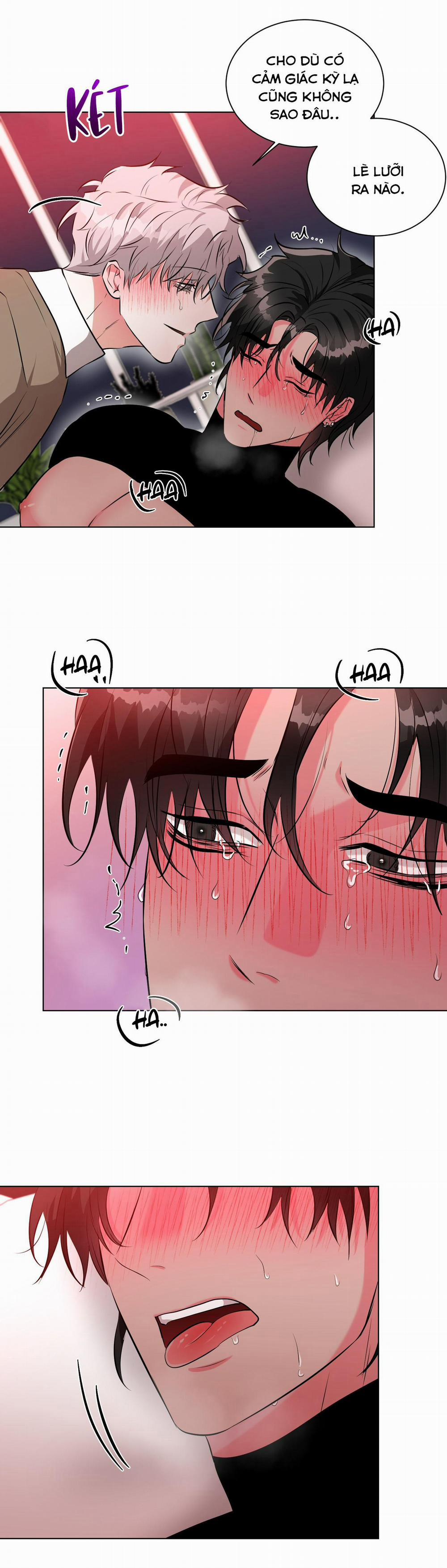 NÊN NẮM TAY TRƯỚC SAO? 5 trang 13