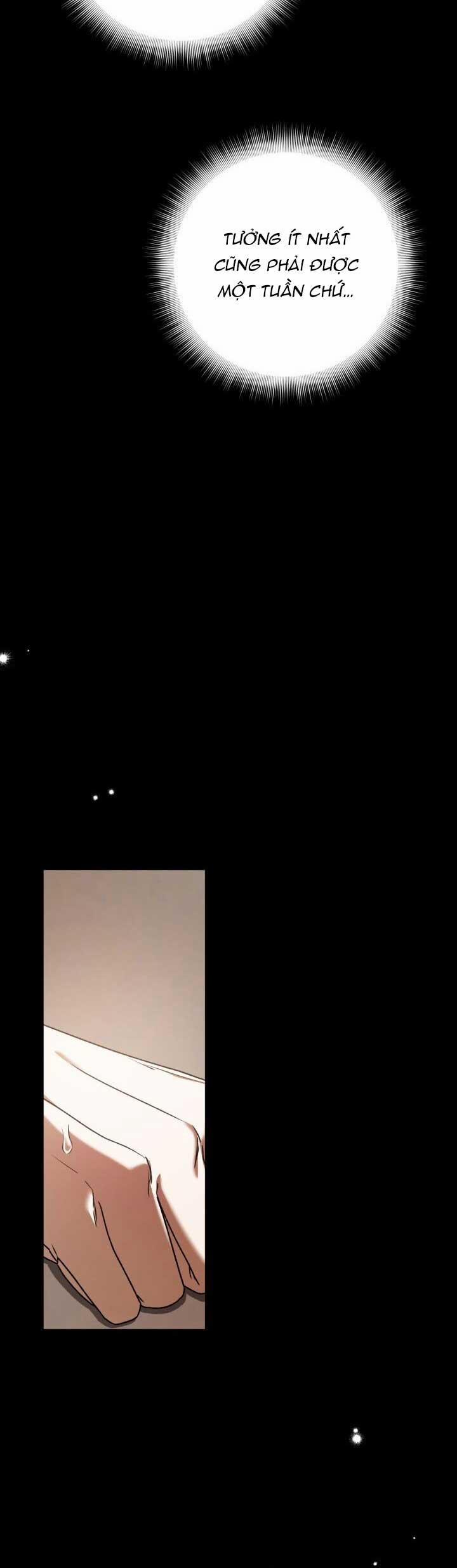 Netkama Punch!!! 66 trang 5