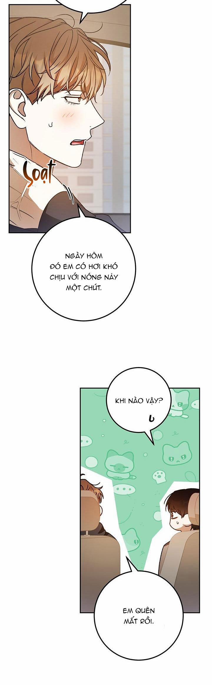 Netkama Punch!!! 70 trang 5