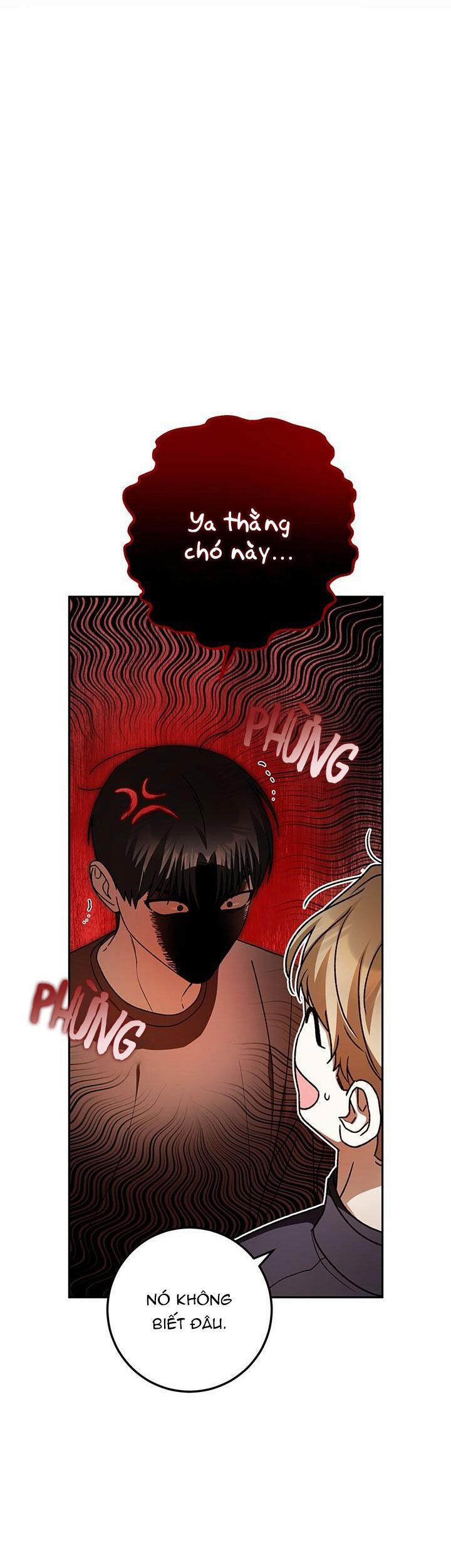 Netkama Punch!!! 71 trang 45