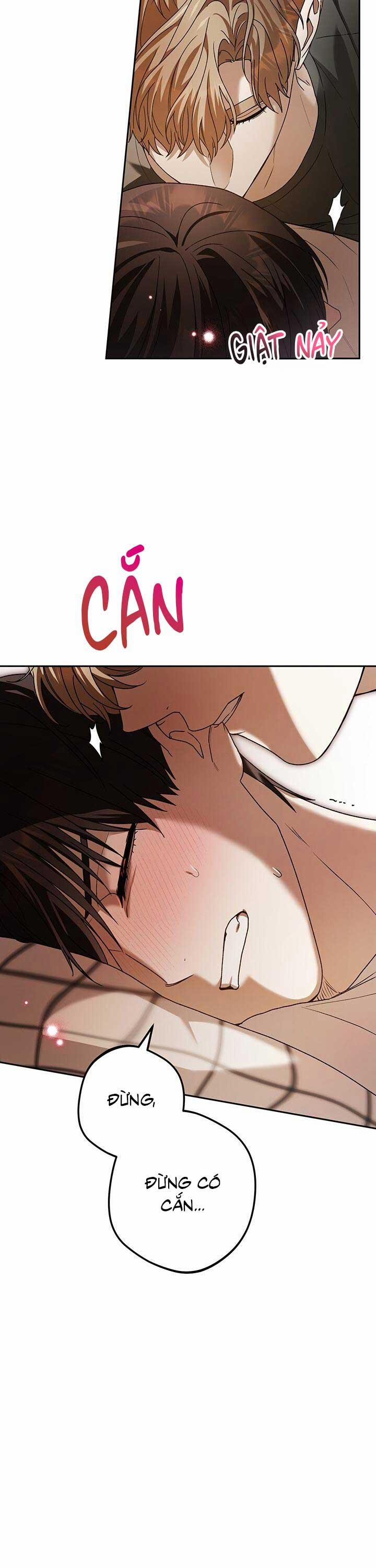 Netkama Punch!!! 75 trang 37