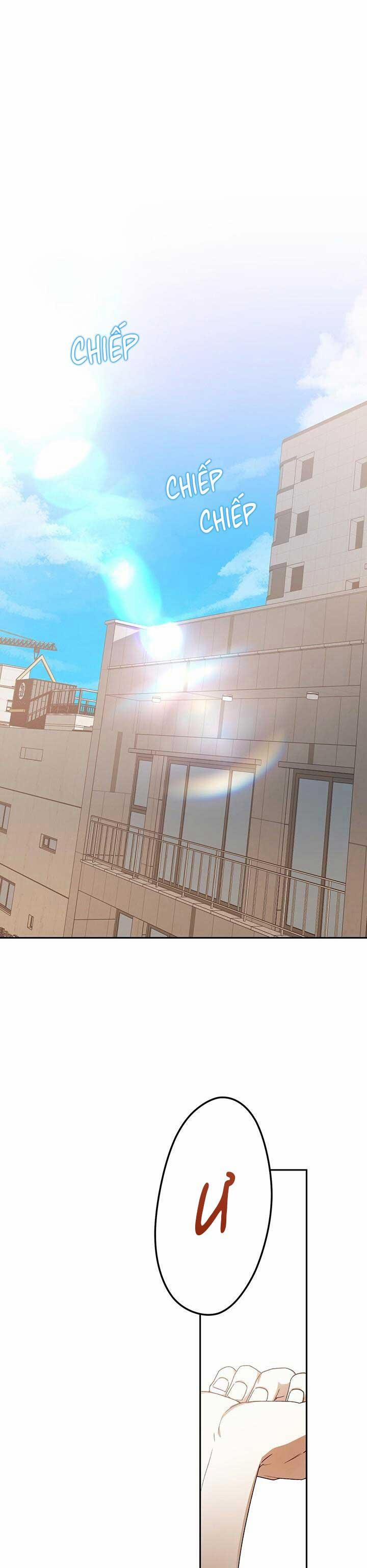 Netkama Punch!!! 79 trang 0