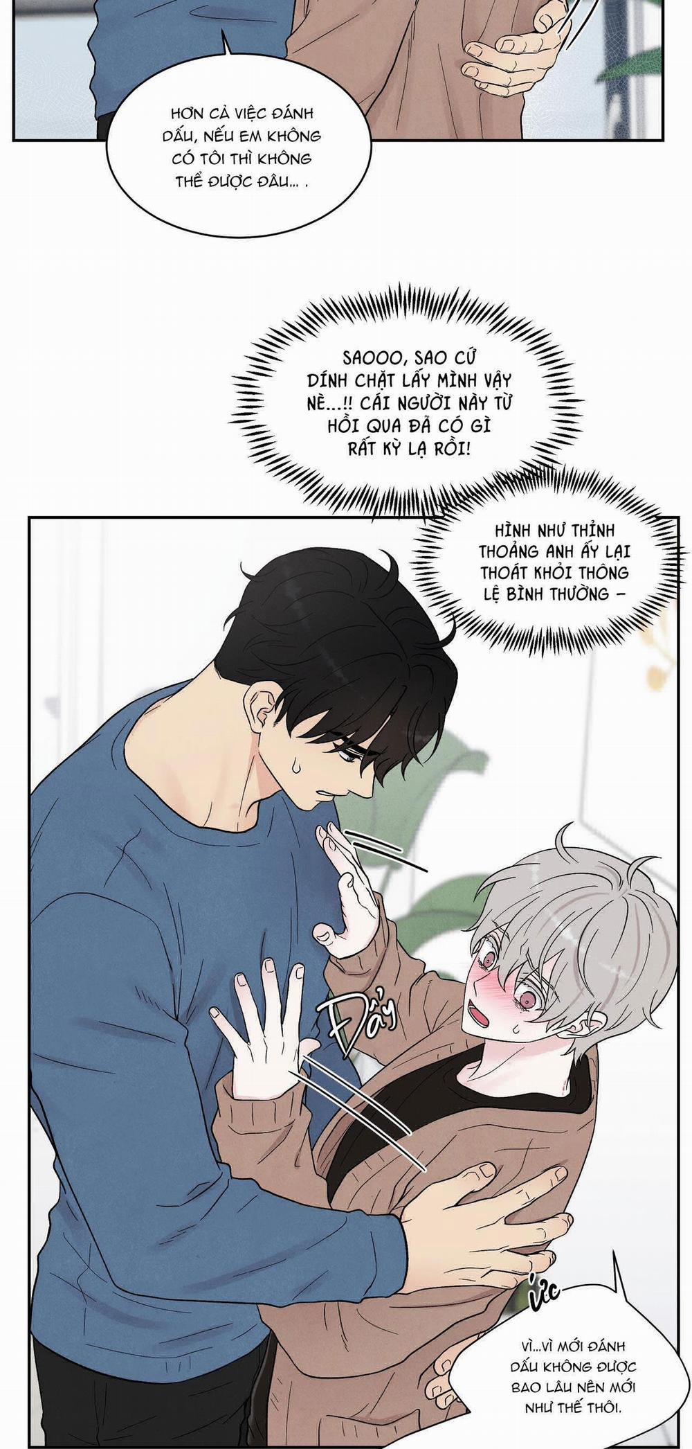 Nếu Không Là Định Mệnh Thì Là Gì? 10 trang 15