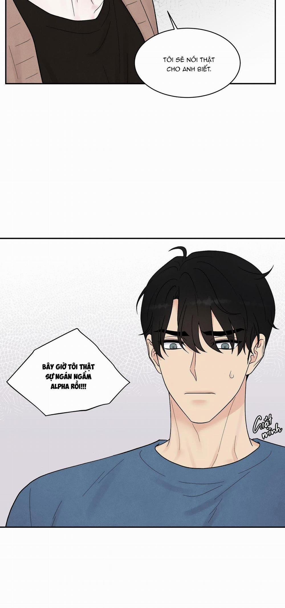 Nếu Không Là Định Mệnh Thì Là Gì? 10 trang 21