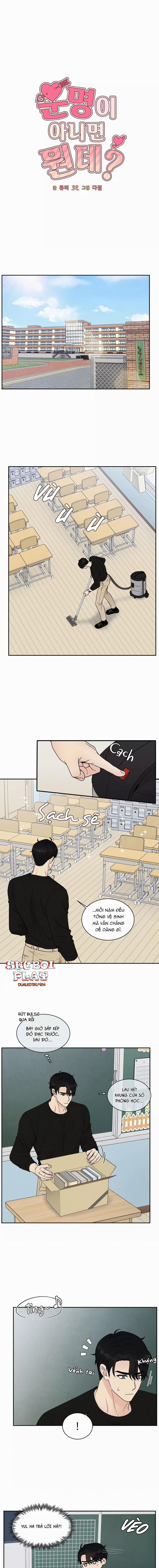 Nếu Không Là Định Mệnh Thì Là Gì? 15 trang 0