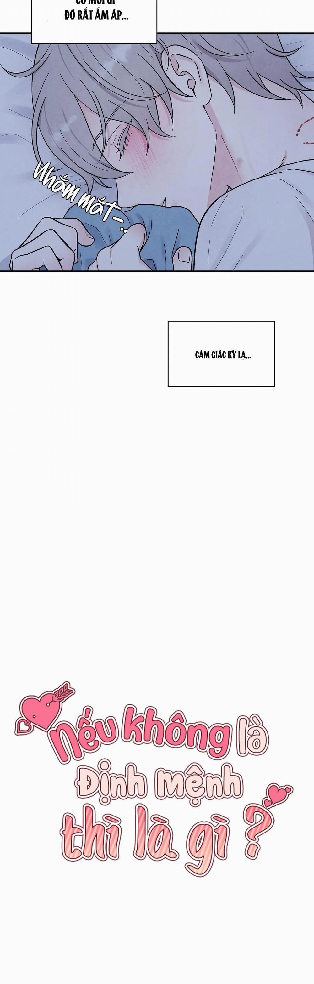 Nếu Không Là Định Mệnh Thì Là Gì? 9 trang 19