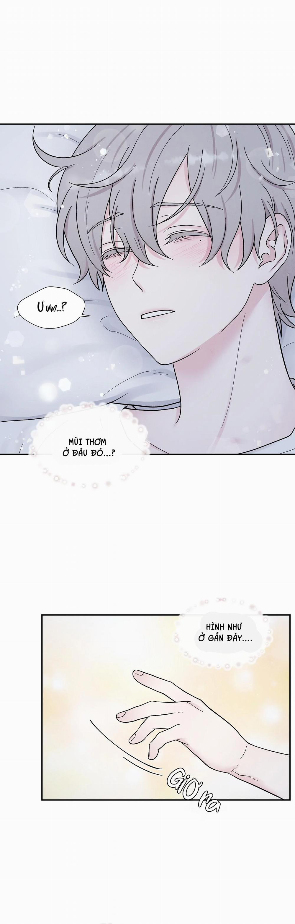 Nếu Không Là Định Mệnh Thì Là Gì? 9 trang 23