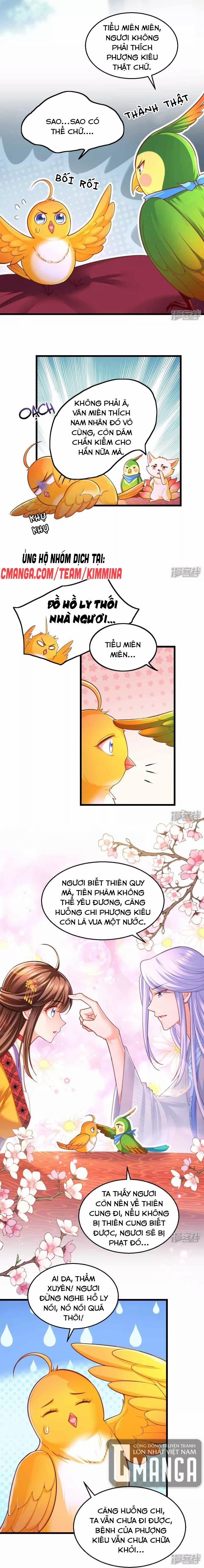 Ngã Tại Hậu Cung Đương Đại Lão 97 trang 1