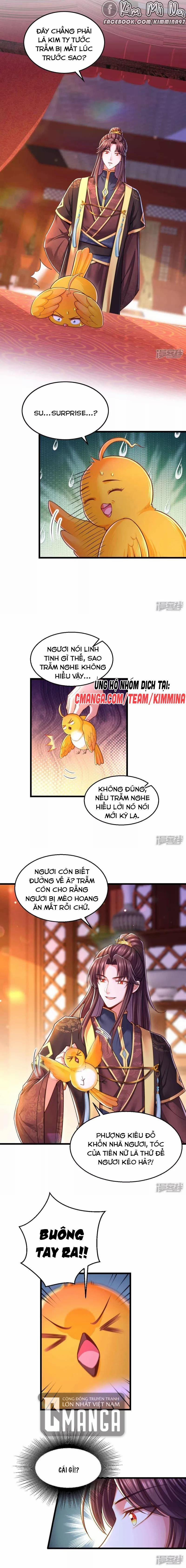 Ngã Tại Hậu Cung Đương Đại Lão 97 trang 4