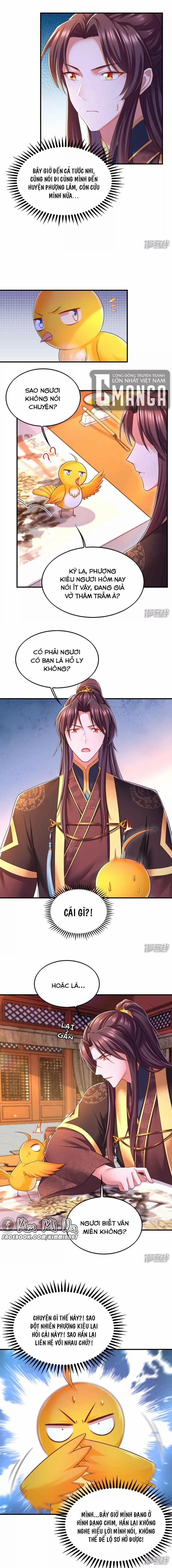 Ngã Tại Hậu Cung Đương Đại Lão 98 trang 2