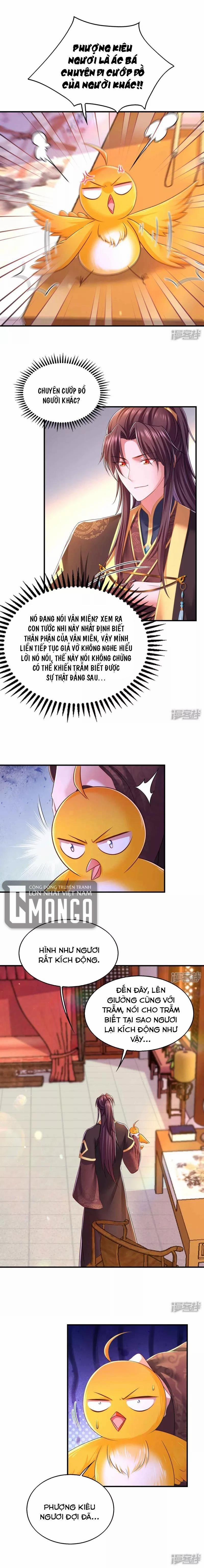 Ngã Tại Hậu Cung Đương Đại Lão 98 trang 5