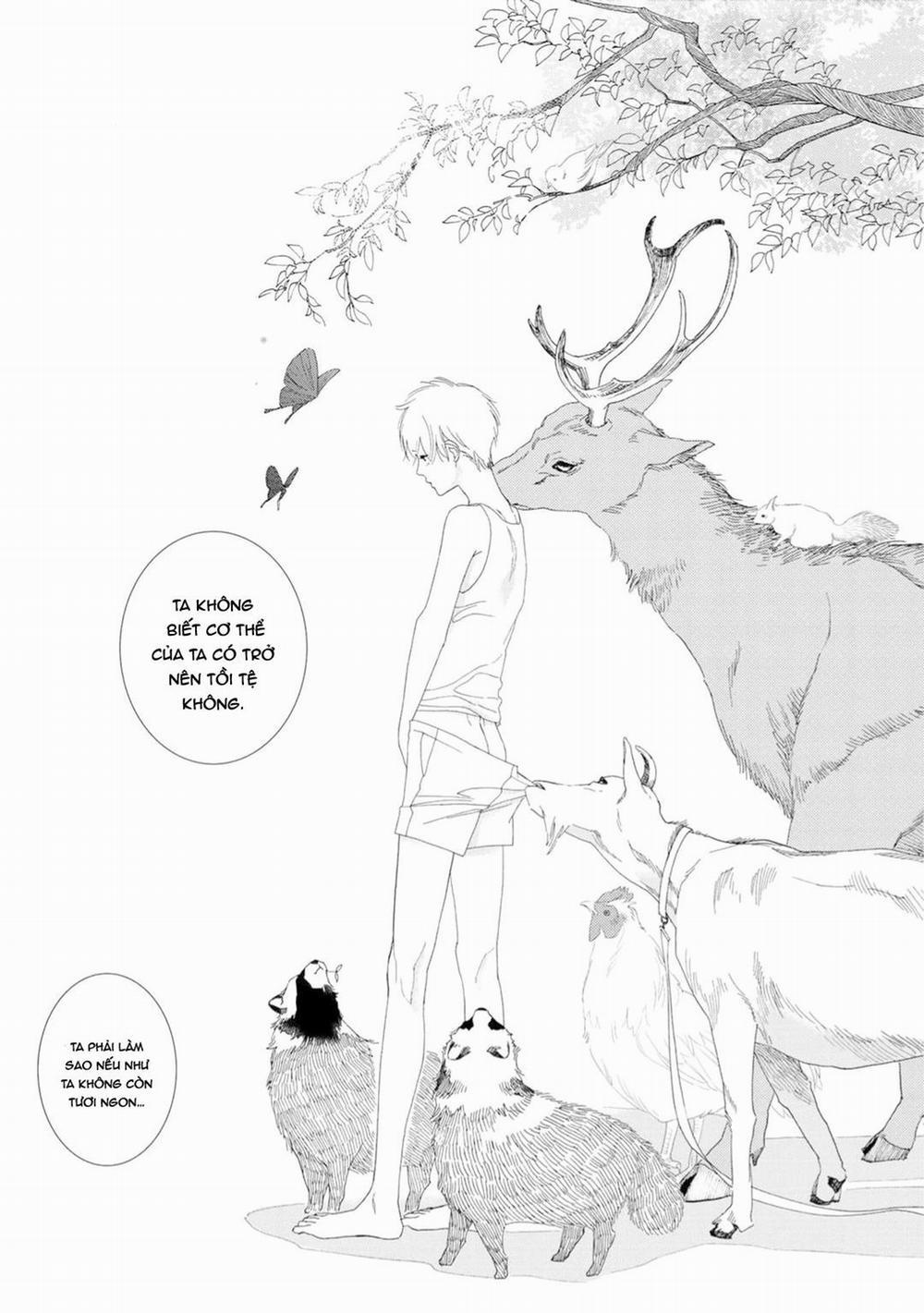 Ngài Sói, Không ăn Em à? 2 trang 11
