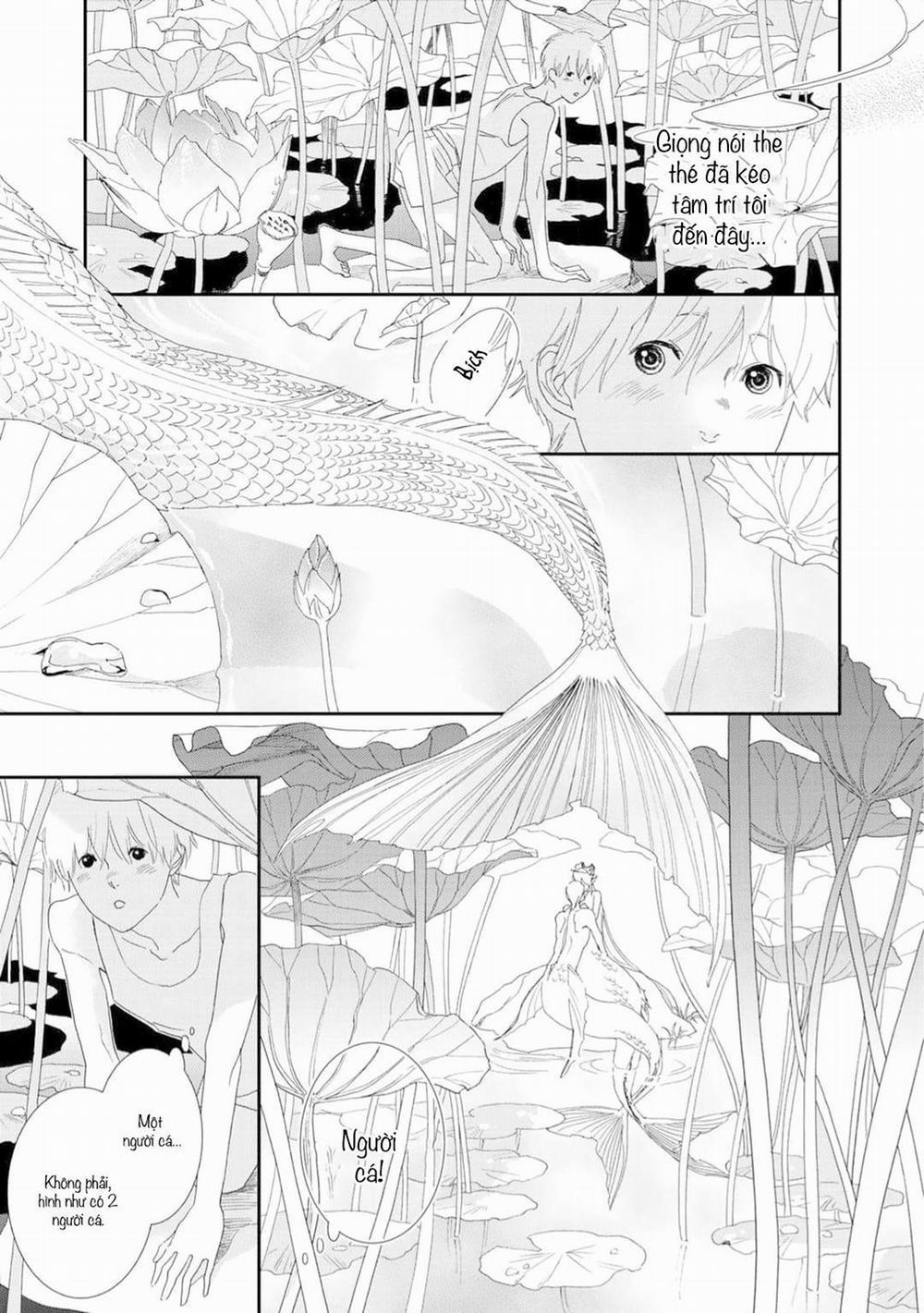 Ngài Sói, Không ăn Em à? 2 trang 13