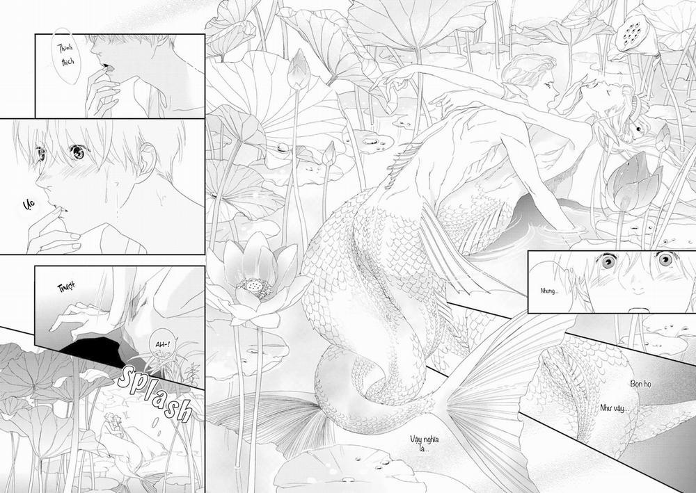 Ngài Sói, Không ăn Em à? 2 trang 14