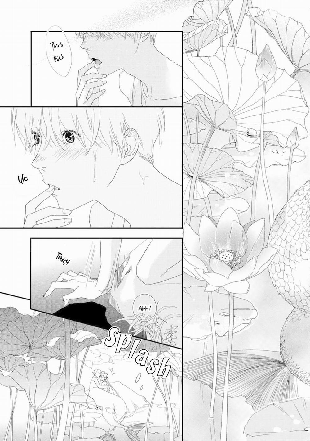 Ngài Sói, Không ăn Em à? 2 trang 16